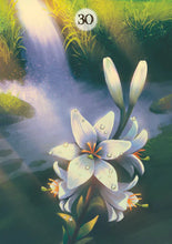 Afbeelding in Gallery-weergave laden, Herbs & Plants Lenormand Oracle Cards
