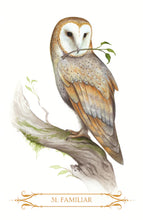 Afbeelding in Gallery-weergave laden, A Compendium of Witches