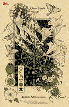 Afbeelding in Gallery-weergave laden, The Magickal Botanical Oracle