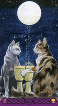 Afbeelding in Gallery-weergave laden, Tarot of Pagan Cats