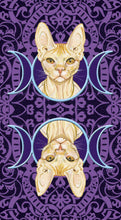 Afbeelding in Gallery-weergave laden, Tarot of Pagan Cats