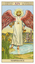 Afbeelding in Gallery-weergave laden, Tarot of the New Vision