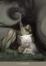 Afbeelding in Gallery-weergave laden, Fantasy Cats Oracle