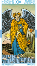 Afbeelding in Gallery-weergave laden, Tarot for Everyone Set