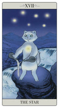 Afbeelding in Gallery-weergave laden, The way Jodorowsky explained Tarot to his Cat
