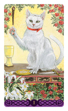 Afbeelding in Gallery-weergave laden, Tarot of Pagan Cats - MINI
