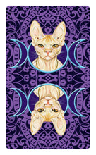 Afbeelding in Gallery-weergave laden, Tarot of Pagan Cats - MINI
