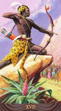 Afbeelding in Gallery-weergave laden, African American Tarot
