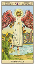 Afbeelding in Gallery-weergave laden, Tarot of the New Vision
