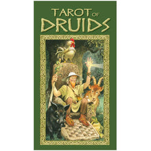 Afbeelding in Gallery-weergave laden, Tarot of Druids
