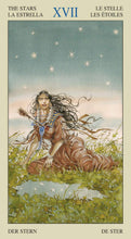Afbeelding in Gallery-weergave laden, Native American Tarot
