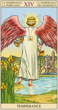 Afbeelding in Gallery-weergave laden, Tarot of the New Vision Set
